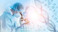 Le réveil de certains virus ancestraux serait responsable en partie du vieillissement cellulaire. © Mongkolchon, Adobe stock